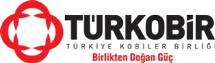 Türkobir