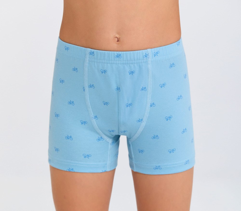 Berrak 5078 3'LÜ Erkek Çocuk Boxer