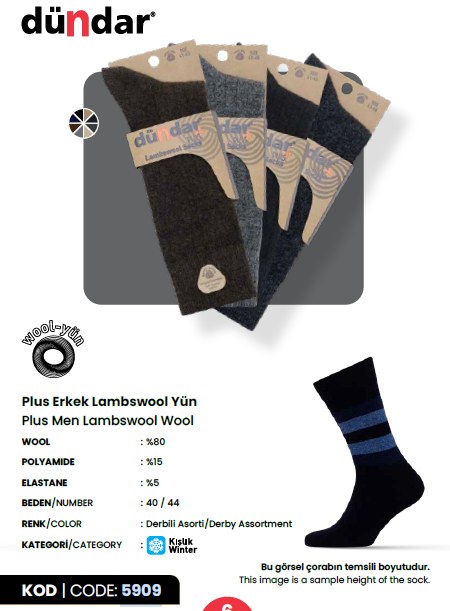 Dündar 5909 Erkek Lambswool Yün Çorap ASORTİ