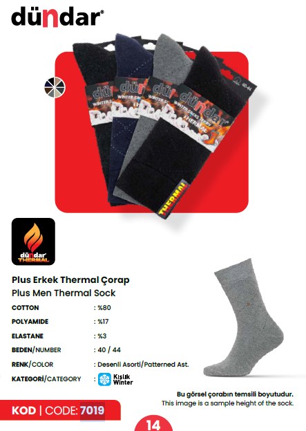 Dündar 7019 Thermal Dikişsiz Erkek Çorap ASORTİ