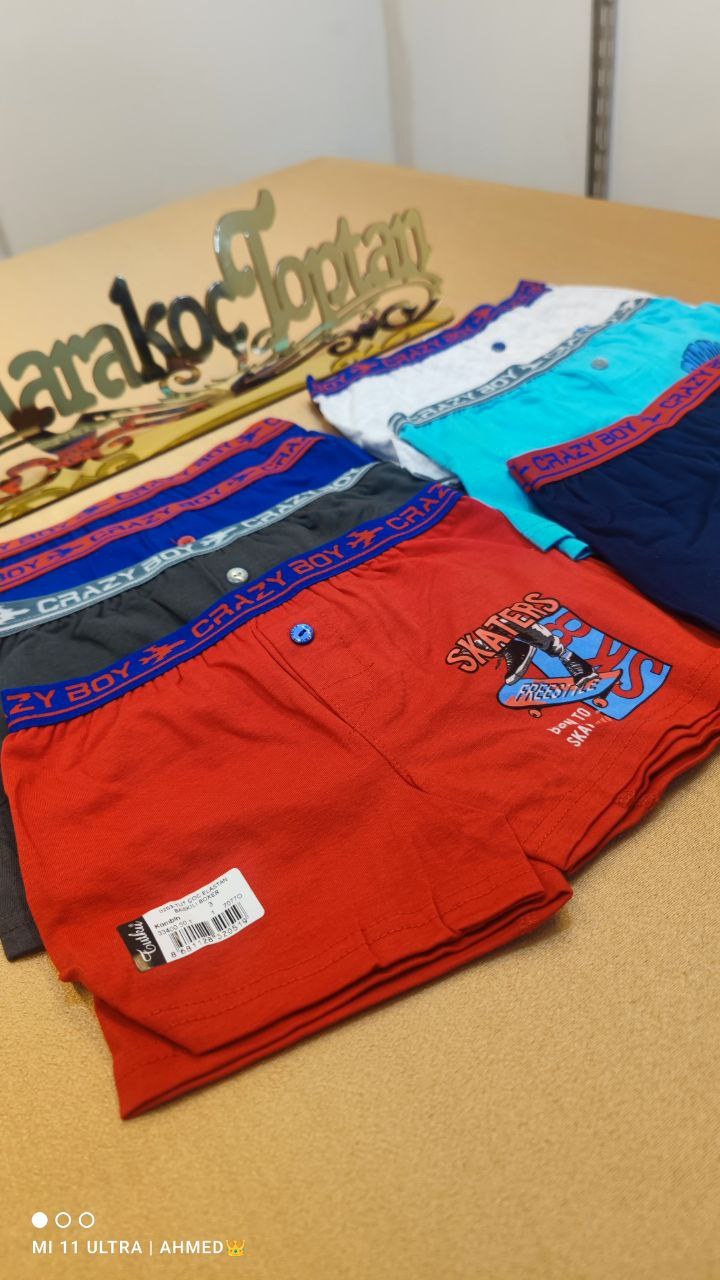 Tutku 0253 Erkek Çocuk Desenli Boxer Asorti