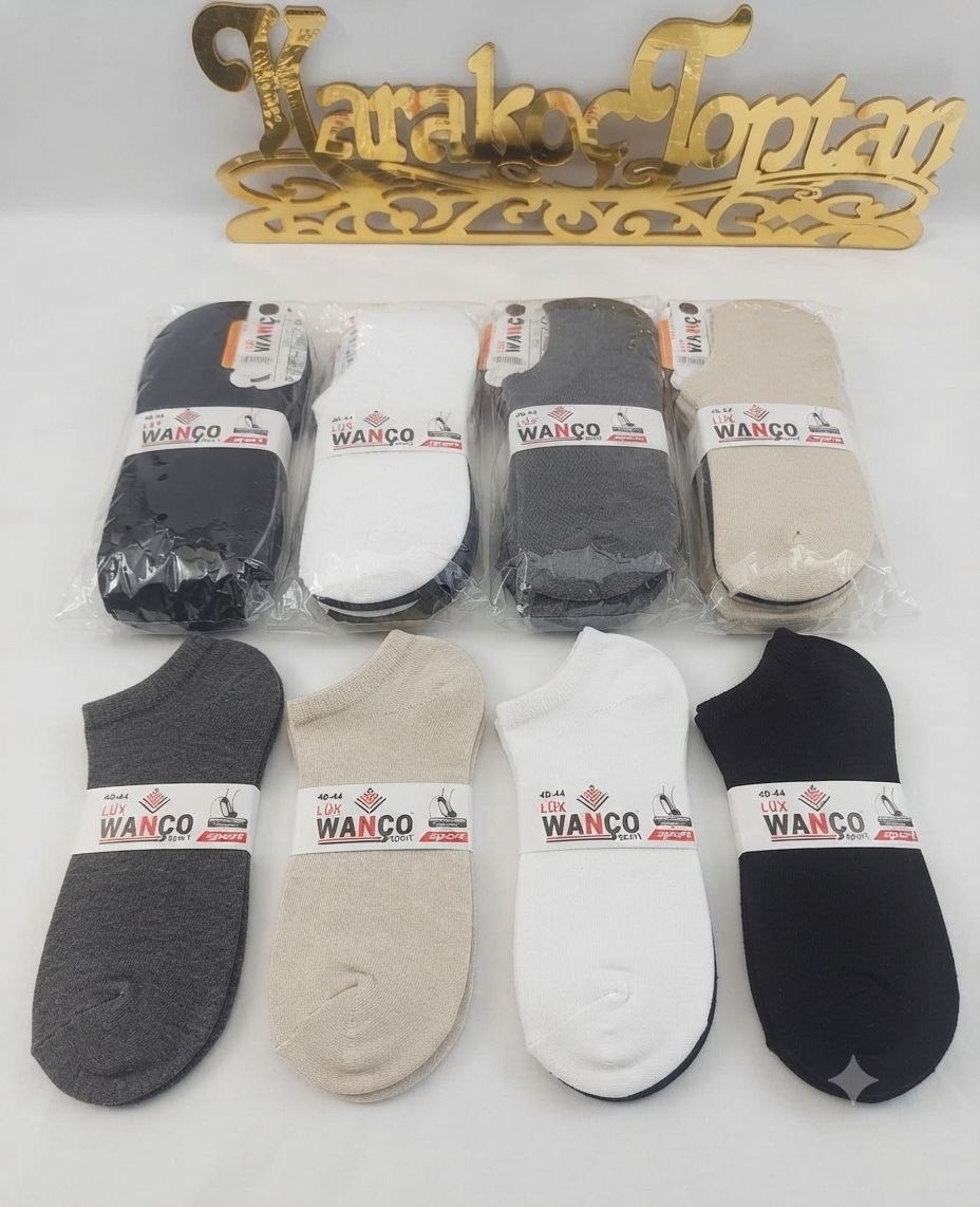 Wanço Erkek Sneakers ASORTİ