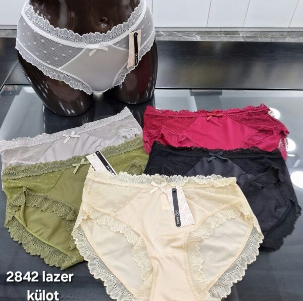 FK 2842 LAZER BİKİNİ SOMON