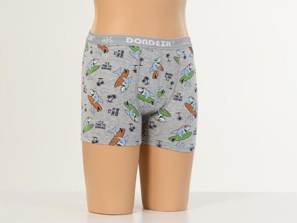 DONDEZA 503 ERKEK DESENLİ ÇOCUK BOXER ASORTİ